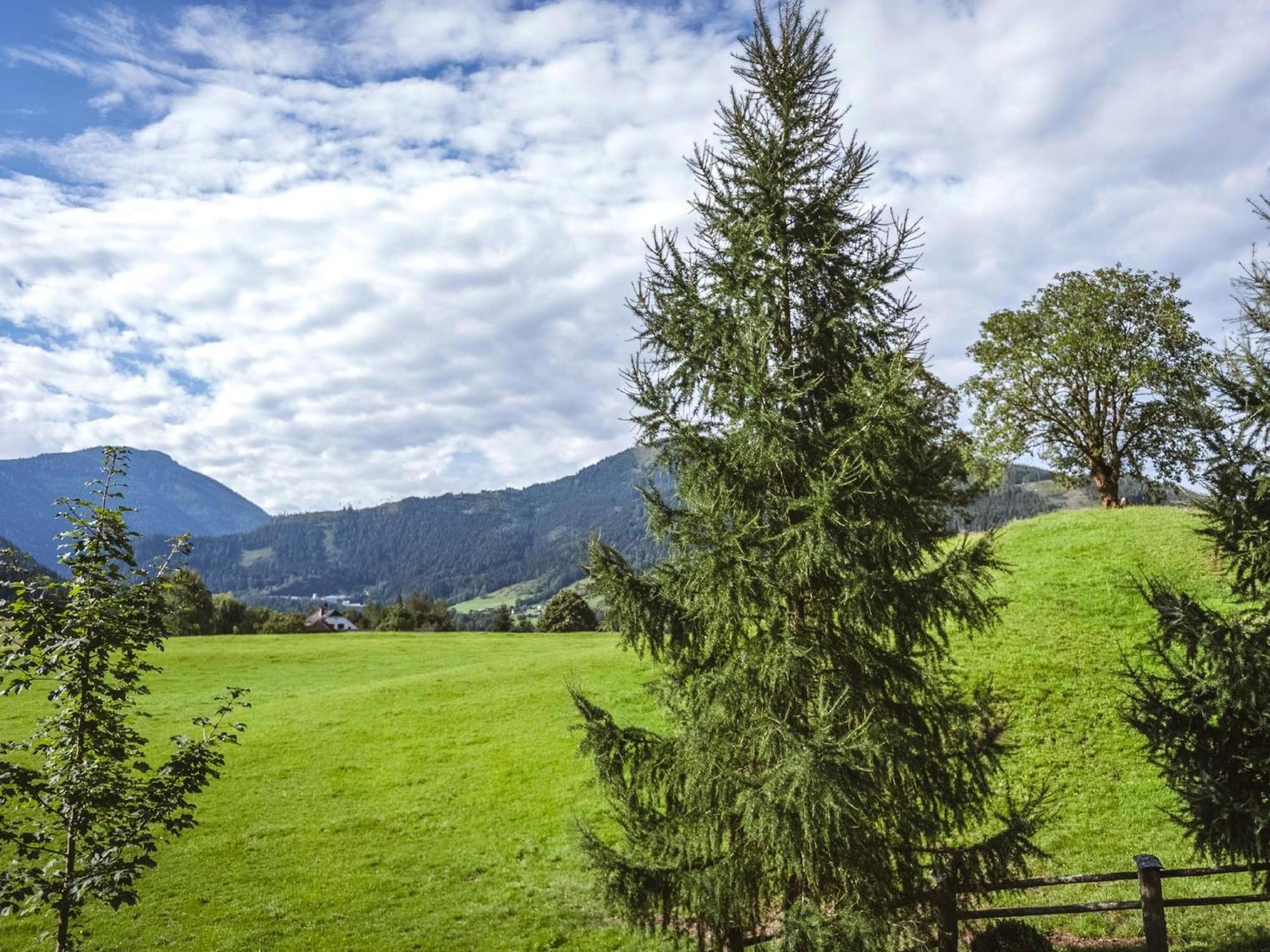 Naturpark Chalet Schladming-Dachstein Grosssolk Экстерьер фото